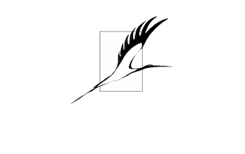 Музейно-художественный центр г. Гомеля